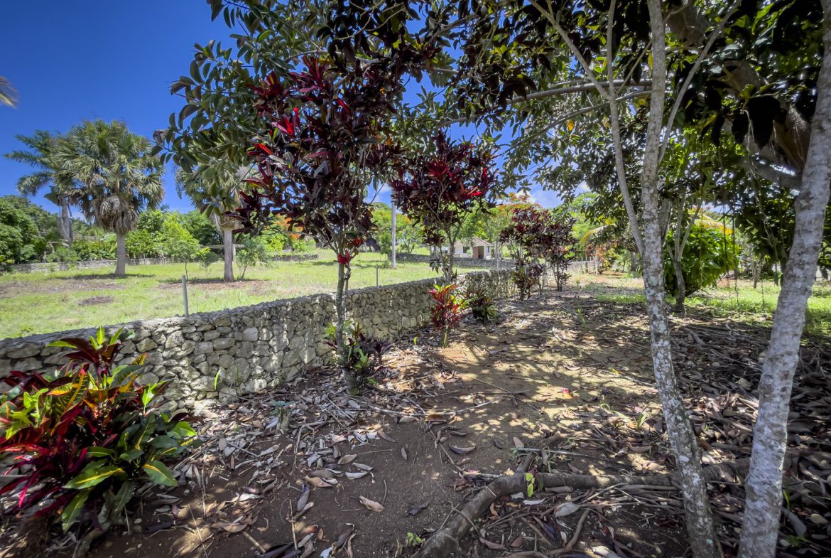 buyDRproperty Stone wall borders a beautiful building lot with red and green plants under a sunny sky. Sosua Real Estate