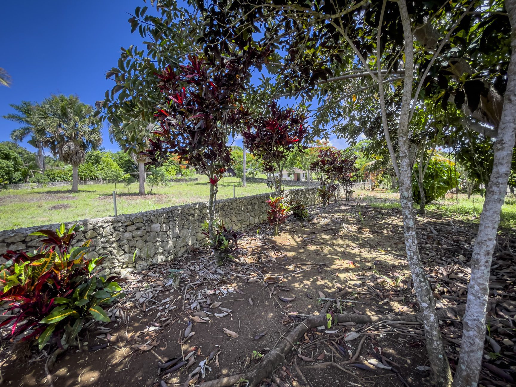 buyDRproperty Stone wall borders a beautiful building lot with red and green plants under a sunny sky. Sosua Real Estate