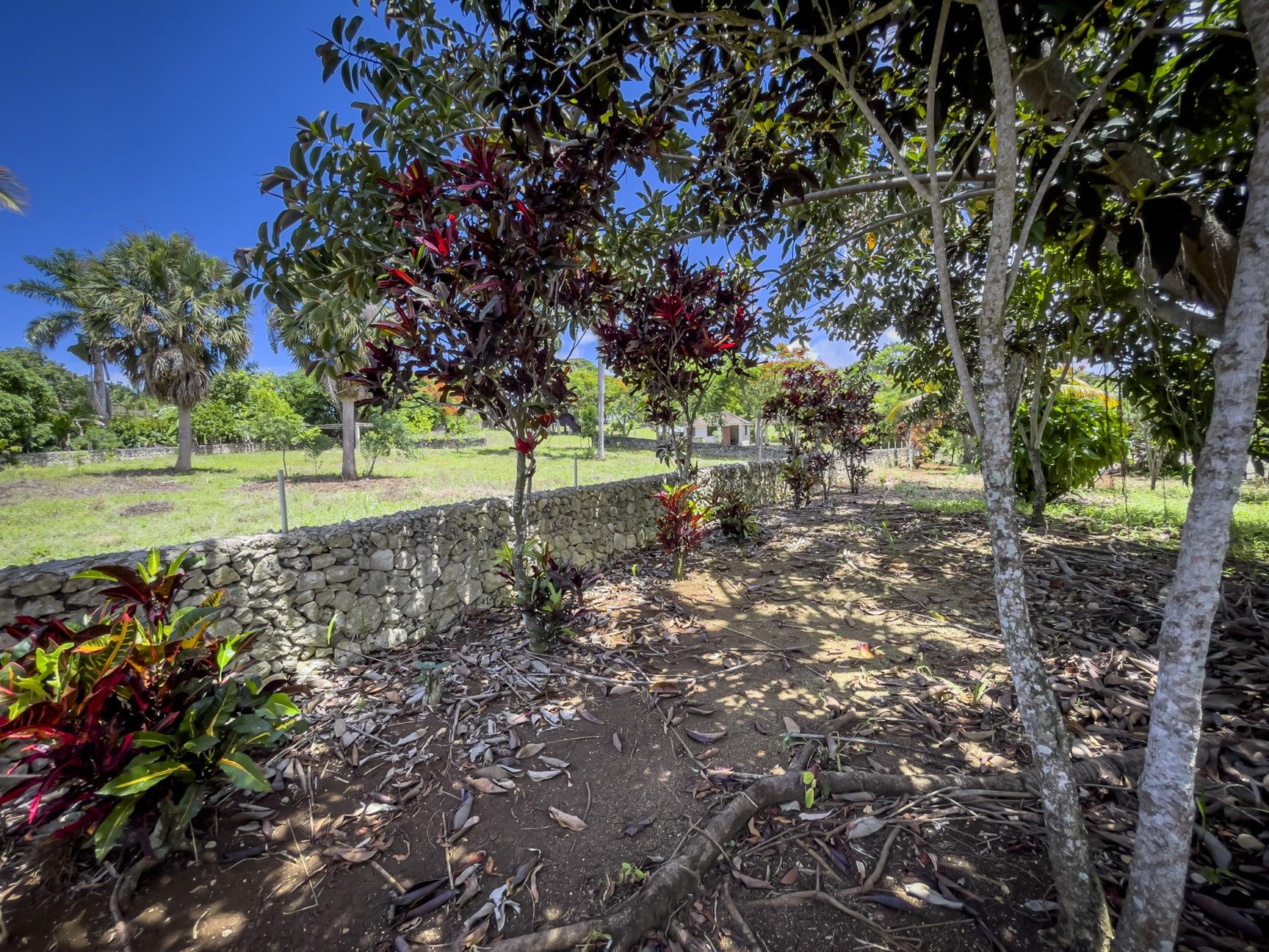 buyDRproperty Stone wall borders a beautiful building lot with red and green plants under a sunny sky. Sosua Real Estate