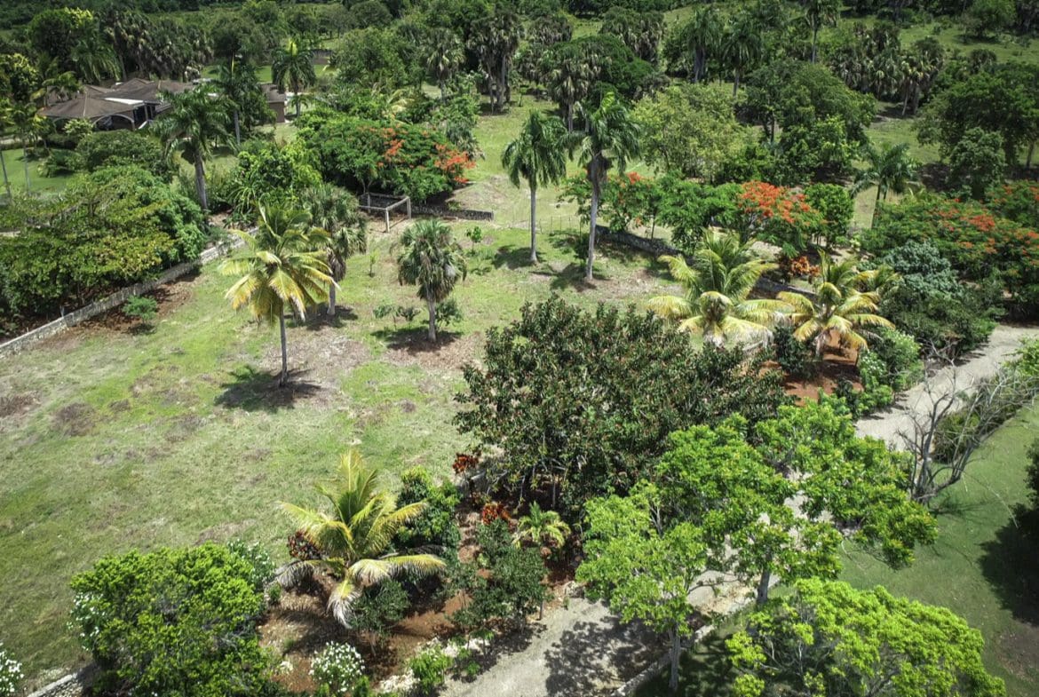 buyDRproperty Aerial view of a beautiful building lot with a house and lush green trees. Sosua Real Estate