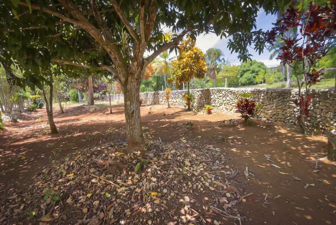 buyDRproperty Beautiful Building Lot in Hacienda El Choco: Lush landscape with trees and stone wall. Sosua Real Estate