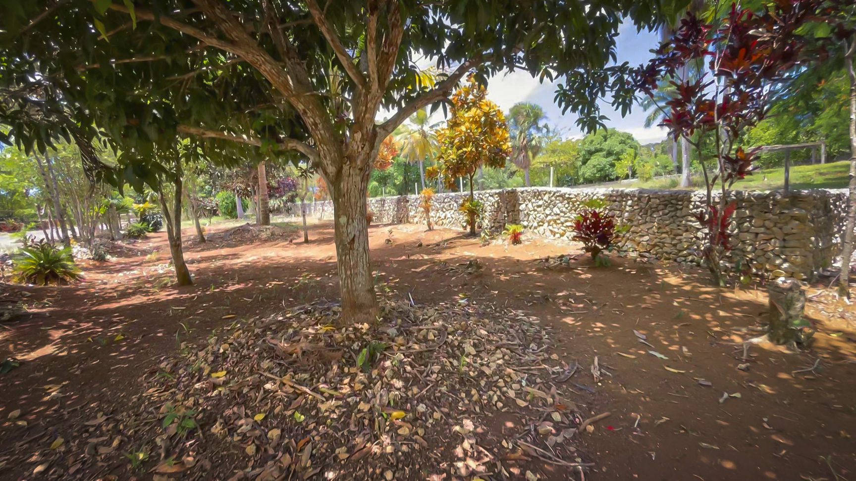 buyDRproperty Beautiful Building Lot in Hacienda El Choco: Lush landscape with trees and stone wall. Sosua Real Estate