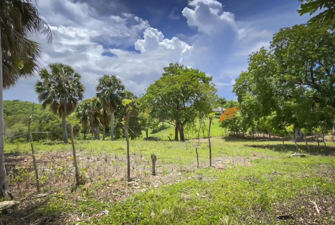 buyDRproperty Beautiful building lot with palm trees and a blue sky Sosua Real Estate