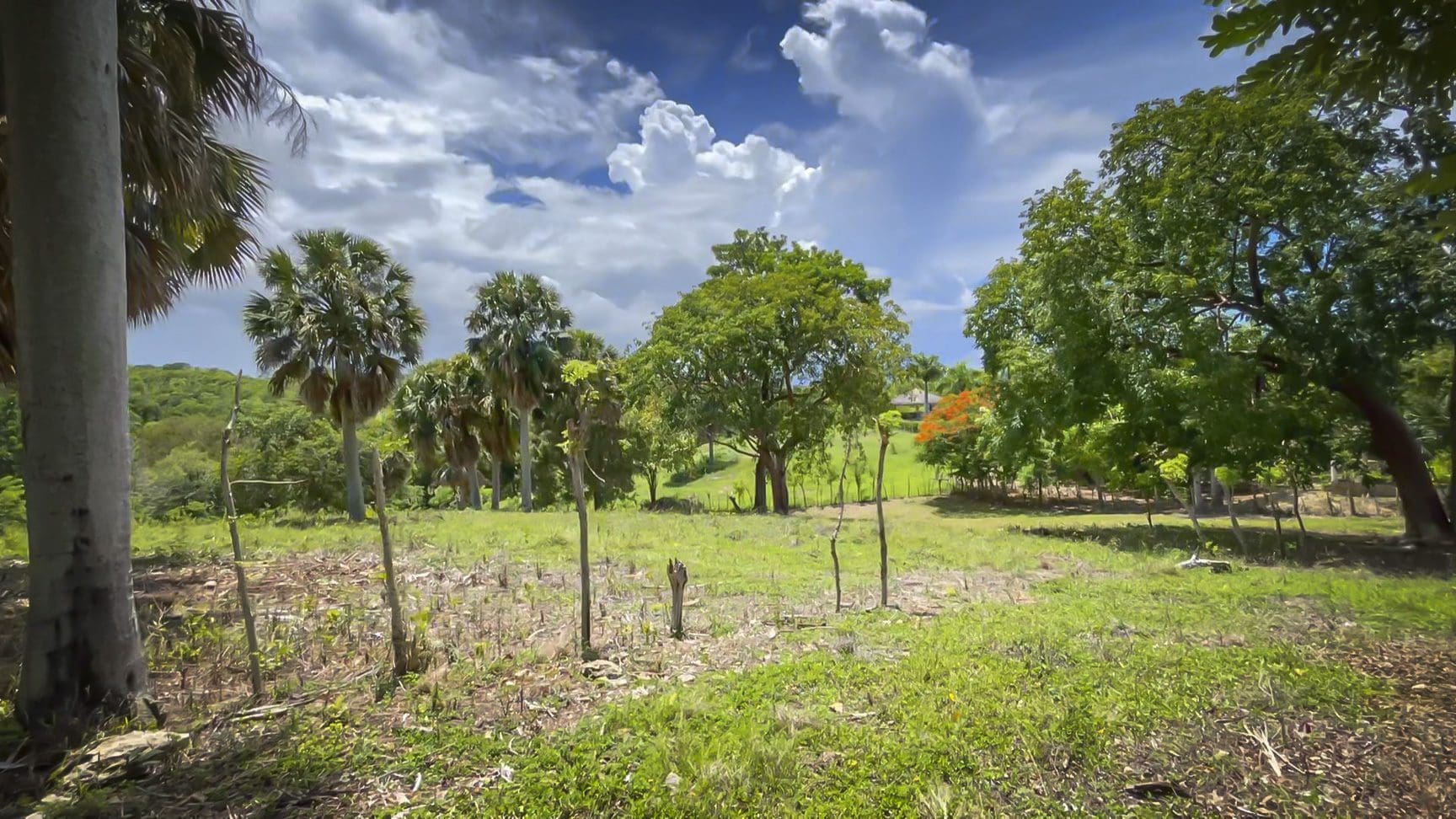 buyDRproperty Beautiful building lot with palm trees and a blue sky Sosua Real Estate
