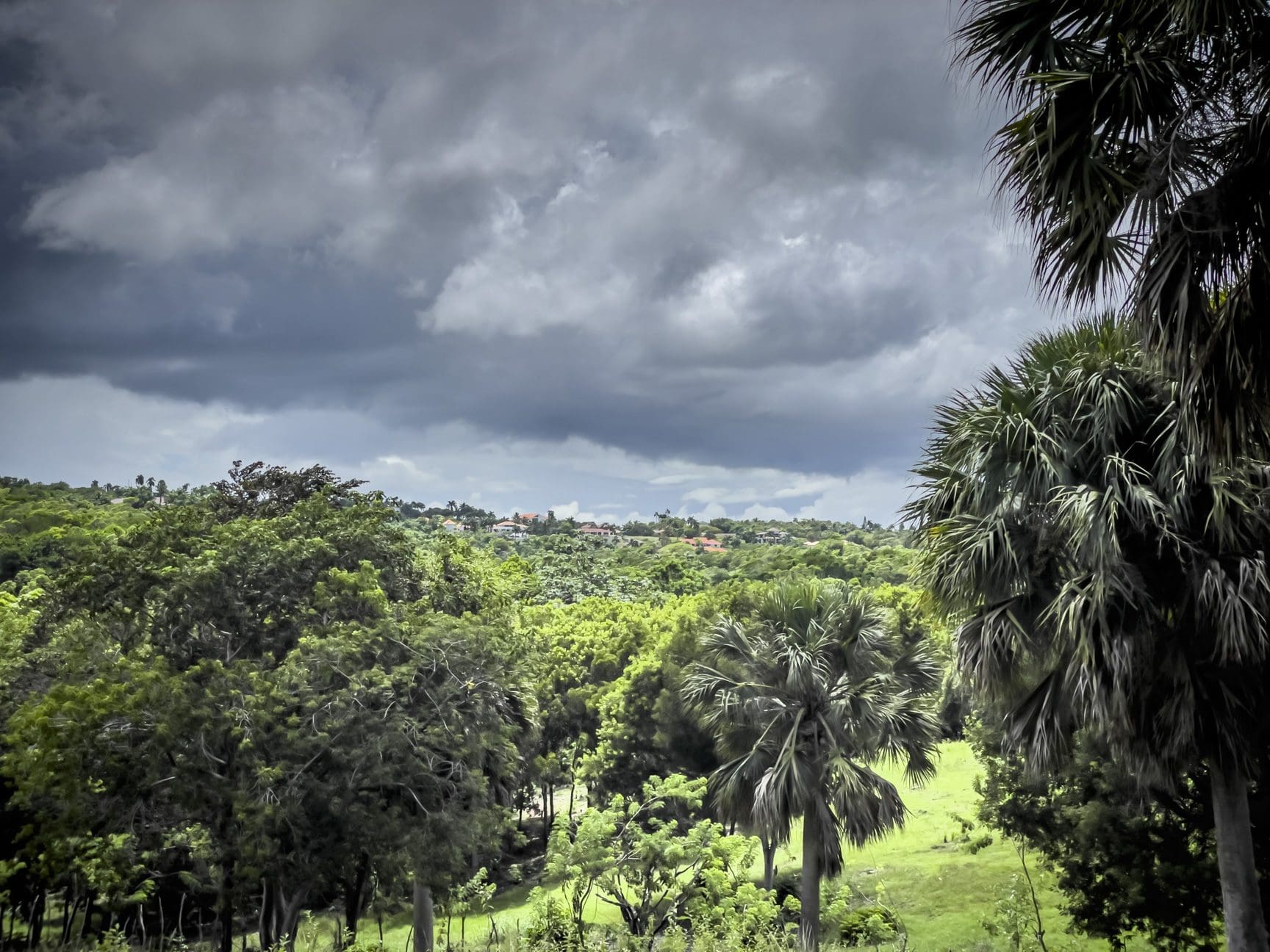 buyDRproperty Lush green landscape with dark clouds, potentially a beautiful building lot Sosua Real Estate
