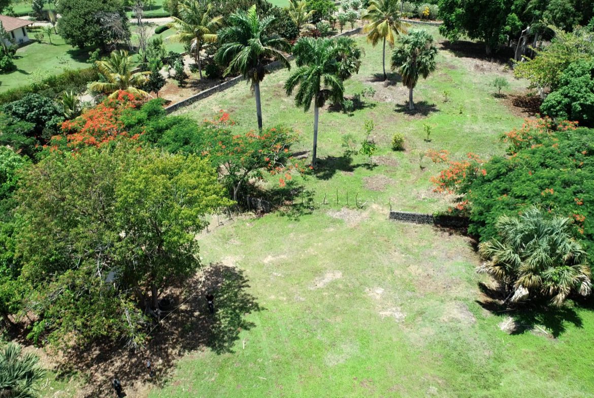 buyDRproperty Beautiful building lot with palm trees and lush greenery. Sosua Real Estate