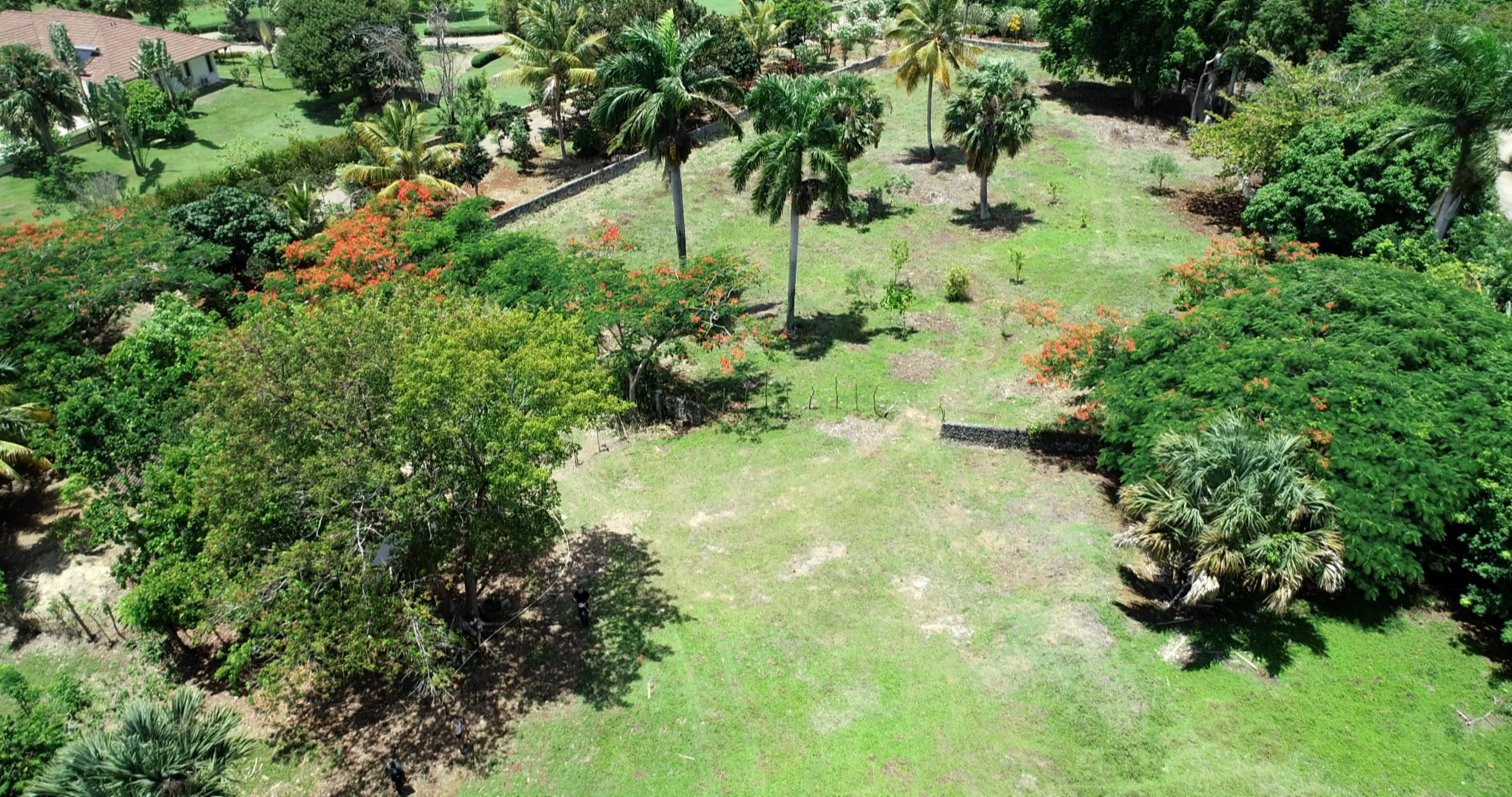 buyDRproperty Beautiful building lot with palm trees and lush greenery. Sosua Real Estate