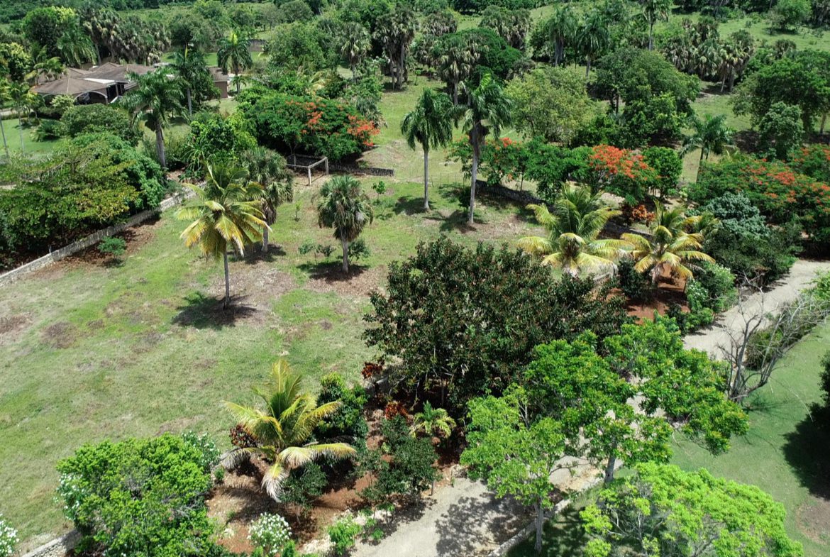 buyDRproperty Beautiful building lot with lush greenery and a house in the distance. Sosua Real Estate