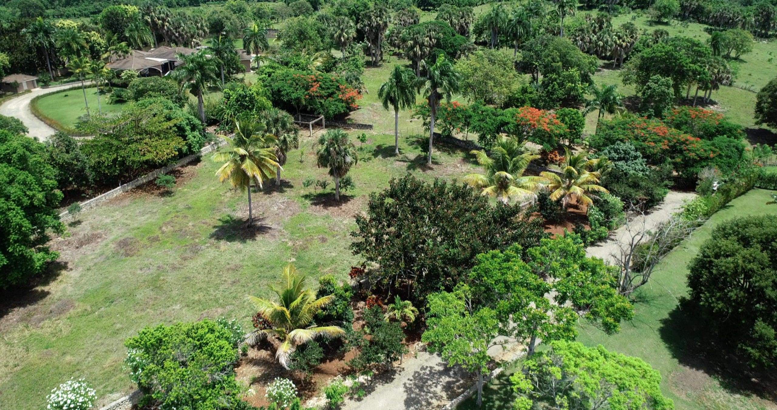 buyDRproperty Beautiful building lot with lush greenery and a house in the distance. Sosua Real Estate