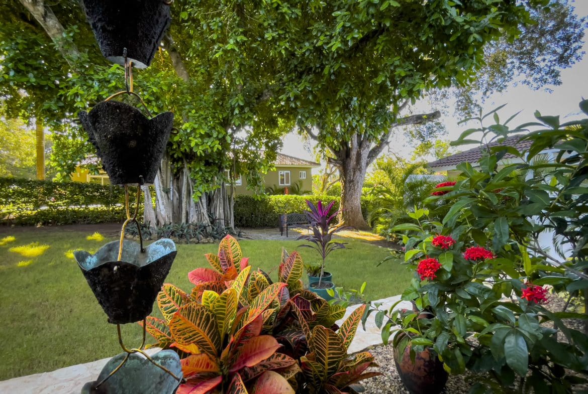buyDRproperty Lush garden with vibrant plants and a glimpse of a stunning 2-bedroom villa. Sosua Real Estate