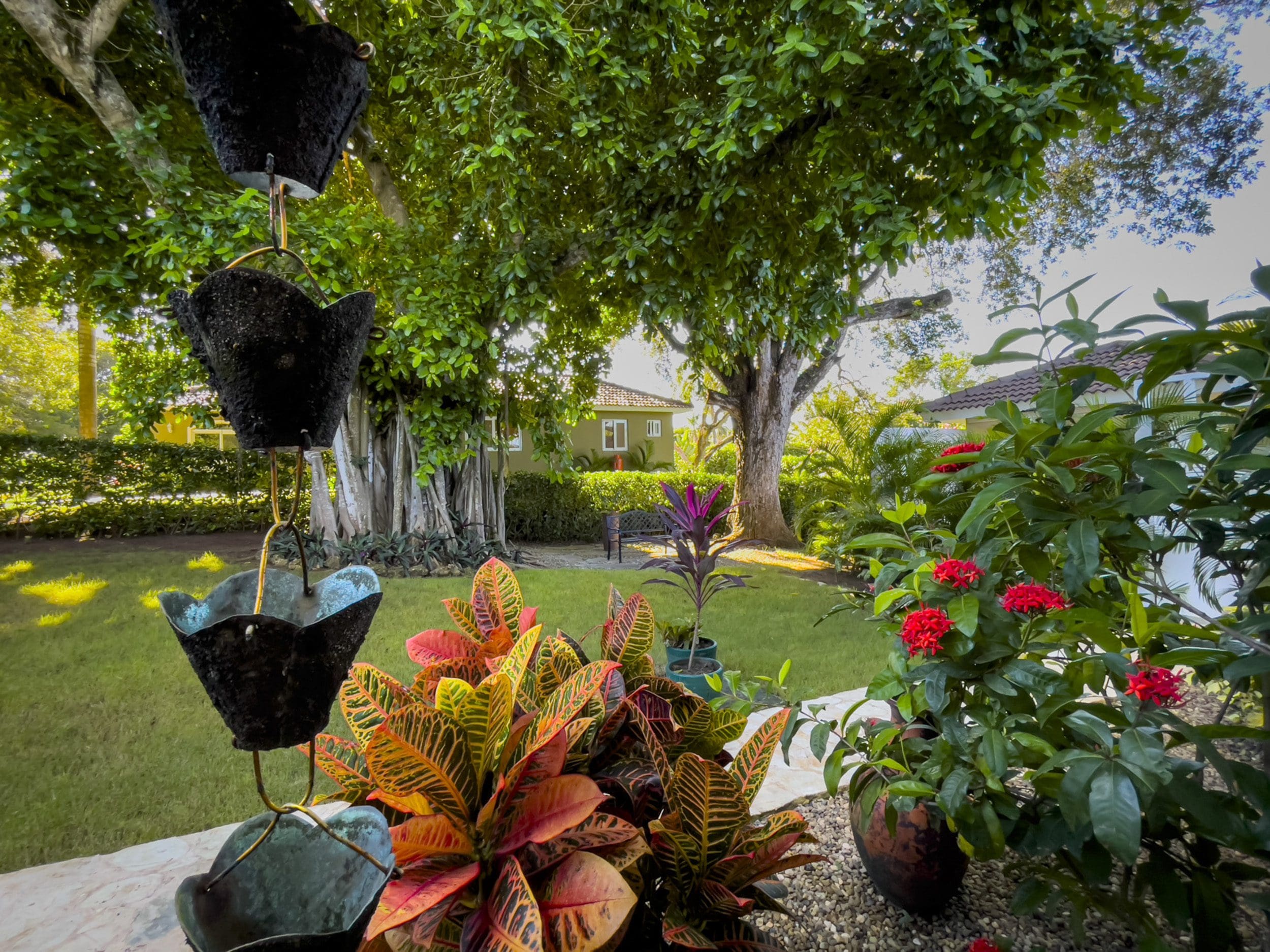 buyDRproperty Lush garden with vibrant plants and a glimpse of a stunning 2-bedroom villa. Sosua Real Estate