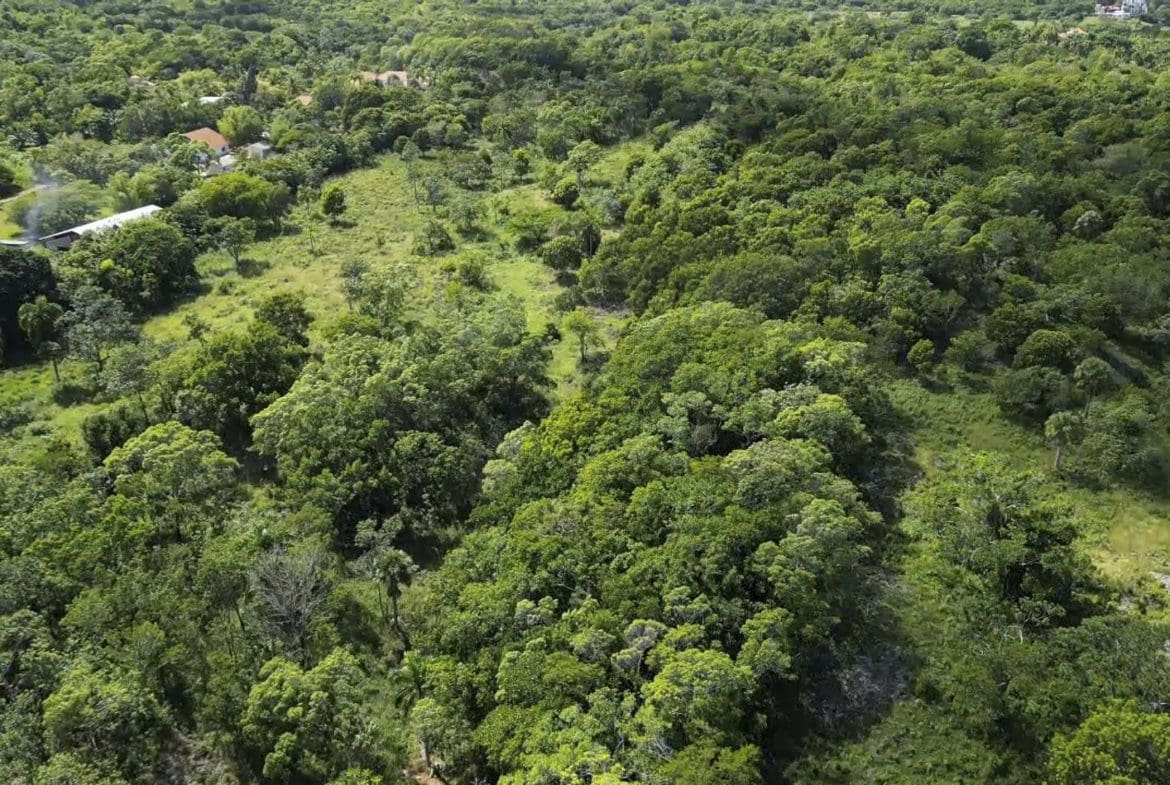 buyDRproperty Aerial view of 76 acres of awesome development land in Sosua, Dominican Republic Sosua Real Estate