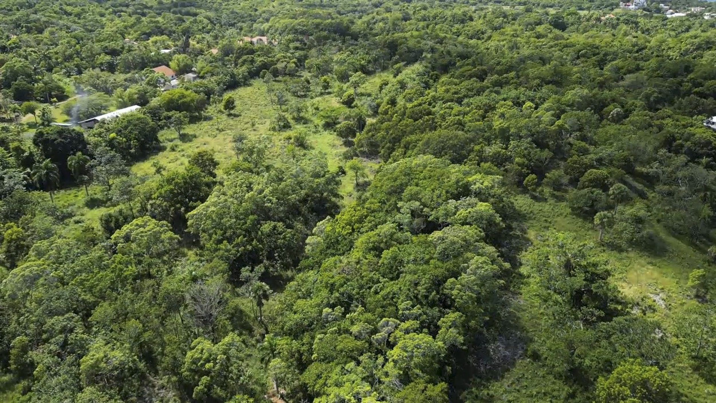 buyDRproperty Aerial view of 76 acres of awesome development land in Sosua, Dominican Republic Sosua Real Estate