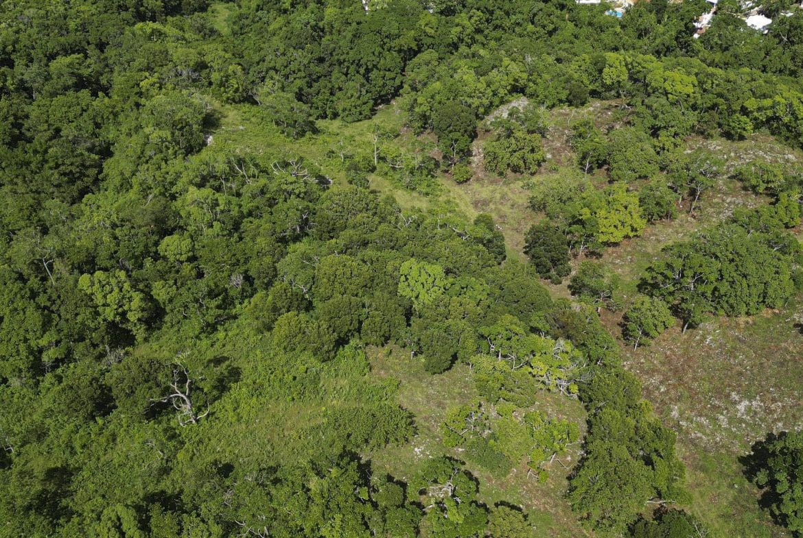 buyDRproperty Aerial view of 76 acres of awesome development land in Sosua, Dominican Republic. Sosua Real Estate