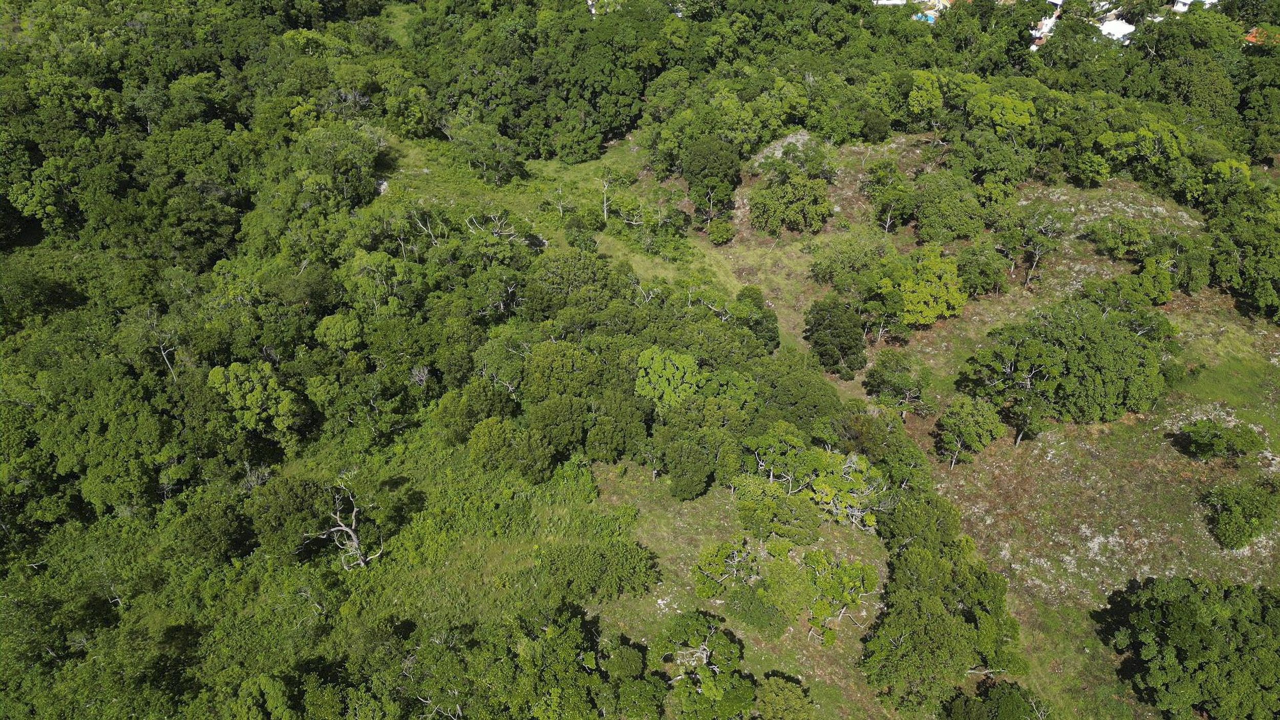 buyDRproperty Aerial view of 76 acres of awesome development land in Sosua, Dominican Republic. Sosua Real Estate
