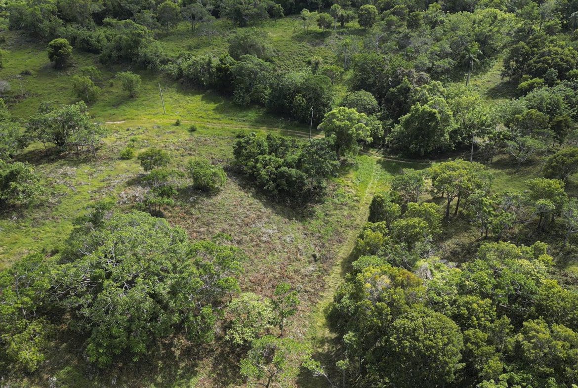 buyDRproperty Aerial view of awesome development land for sale in Sosua, Dominican Republic, with trees and green areas. Sosua Real Estate