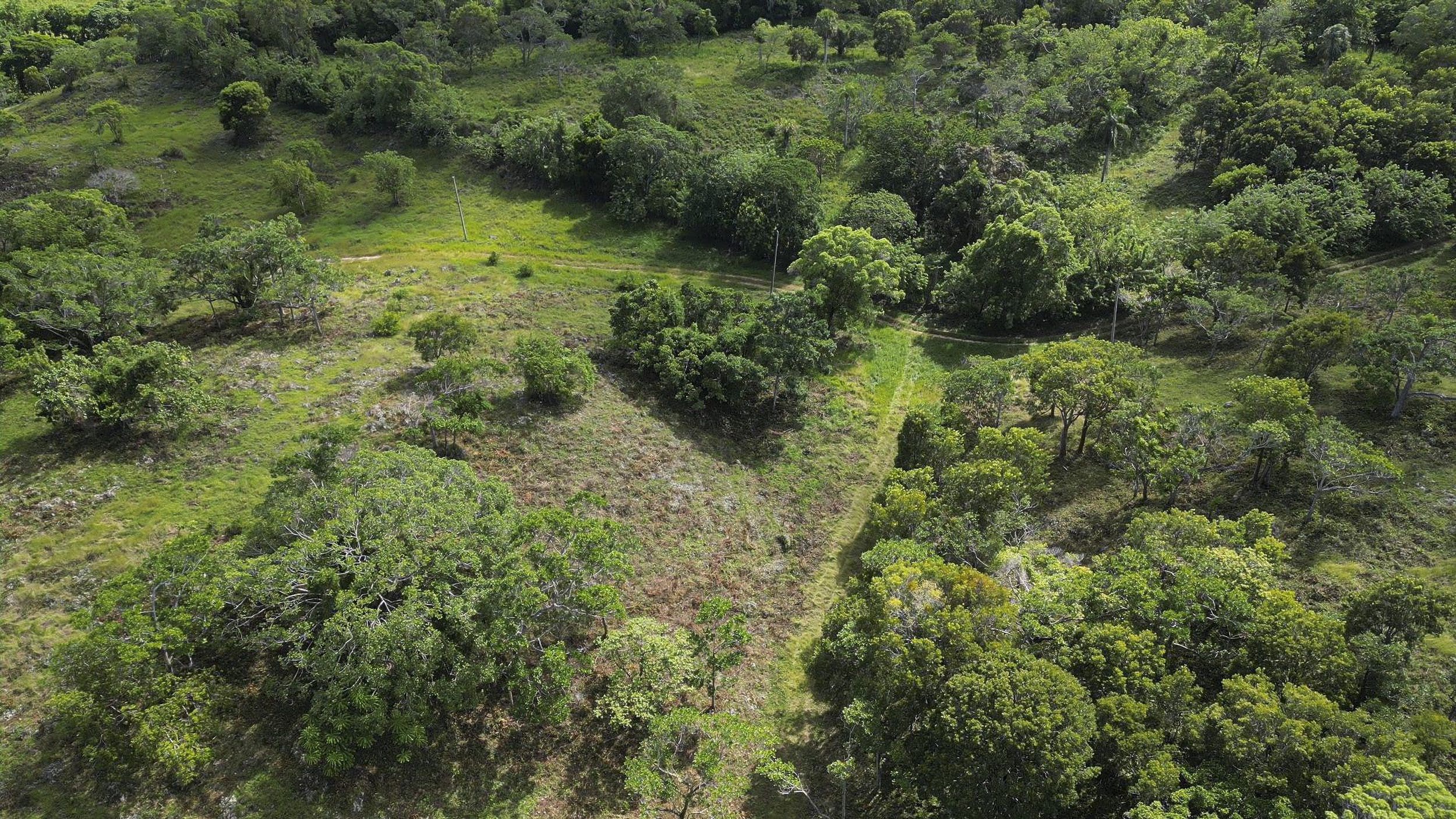 buyDRproperty Aerial view of awesome development land for sale in Sosua, Dominican Republic, with trees and green areas. Sosua Real Estate