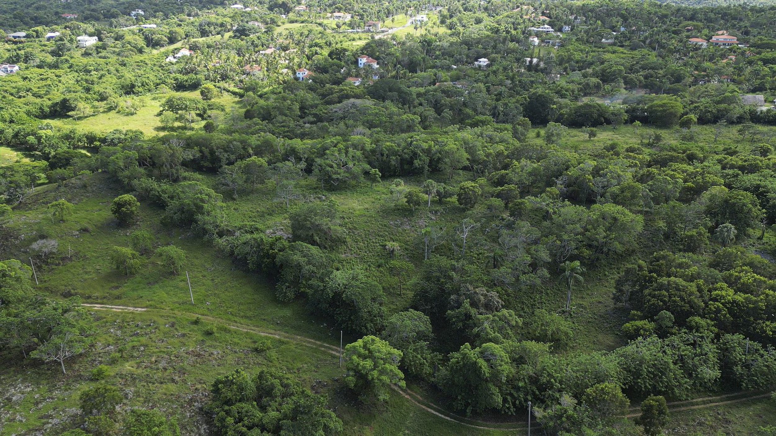 buyDRproperty Aerial view of 76 acres of awesome development land in Sosua, Dominican Republic. Sosua Real Estate