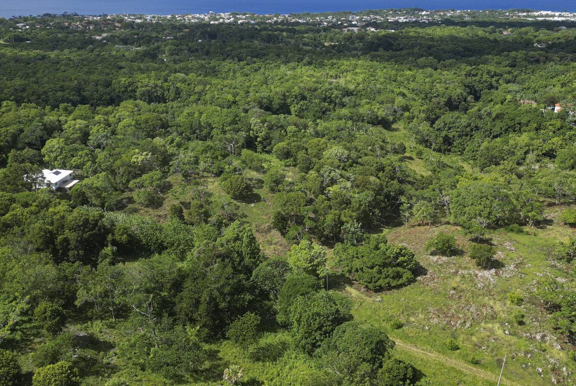 buyDRproperty Aerial view of Awesome Development Land in Sosua, Dominican Republic Sosua Real Estate