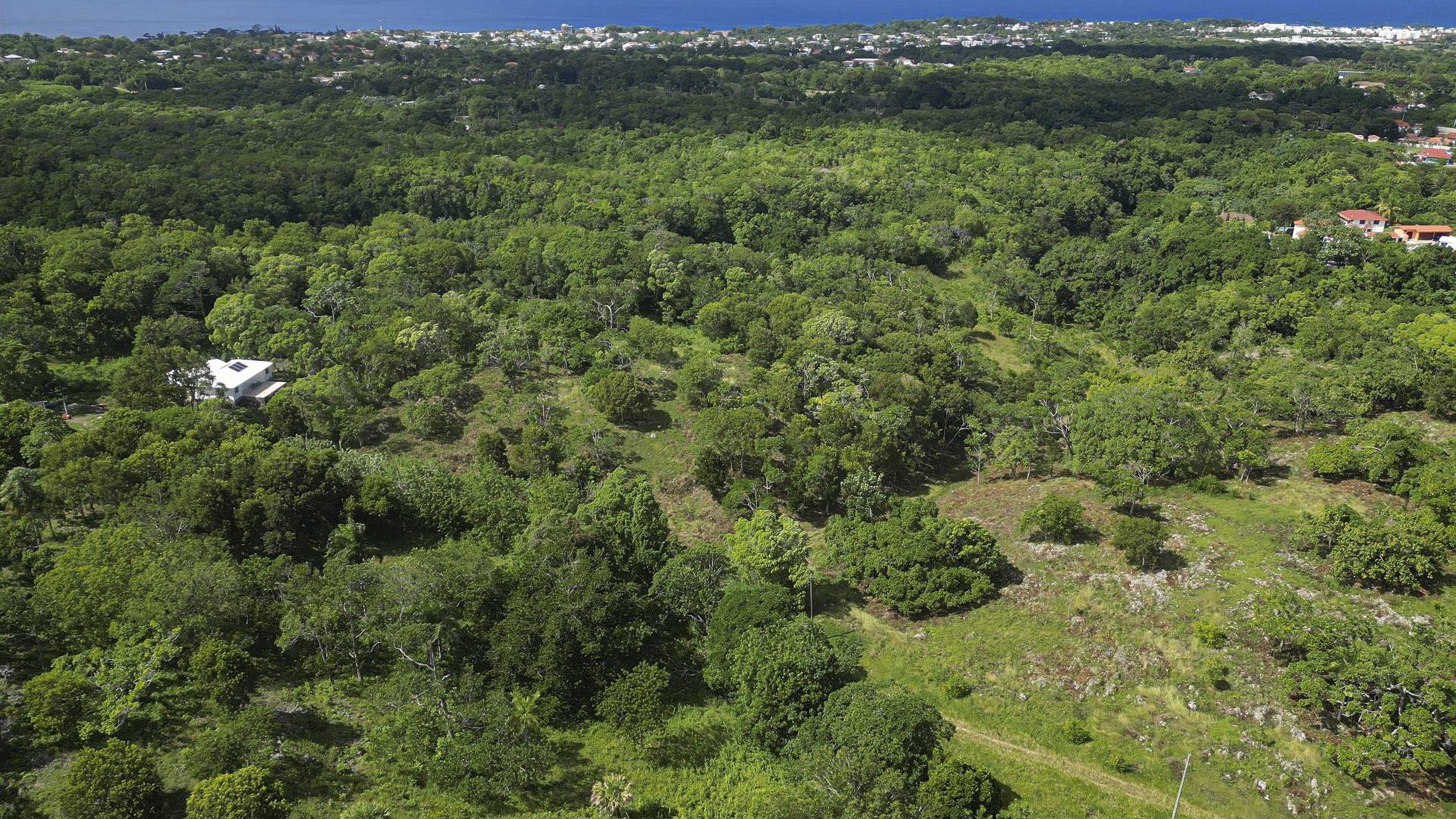 buyDRproperty Aerial view of Awesome Development Land in Sosua, Dominican Republic Sosua Real Estate