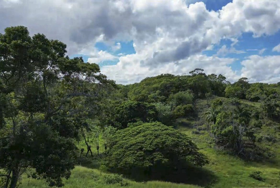 buyDRproperty Rolling hills covered in trees, with a bright blue sky, perfect for Awesome Development Land. Sosua Real Estate