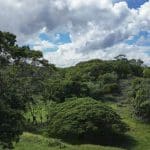 post title   site title