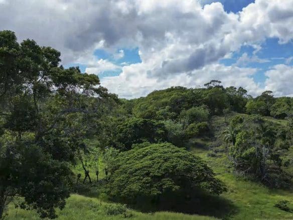 buyDRproperty Rolling hills covered in trees, with a bright blue sky, perfect for Awesome Development Land. Sosua Real Estate