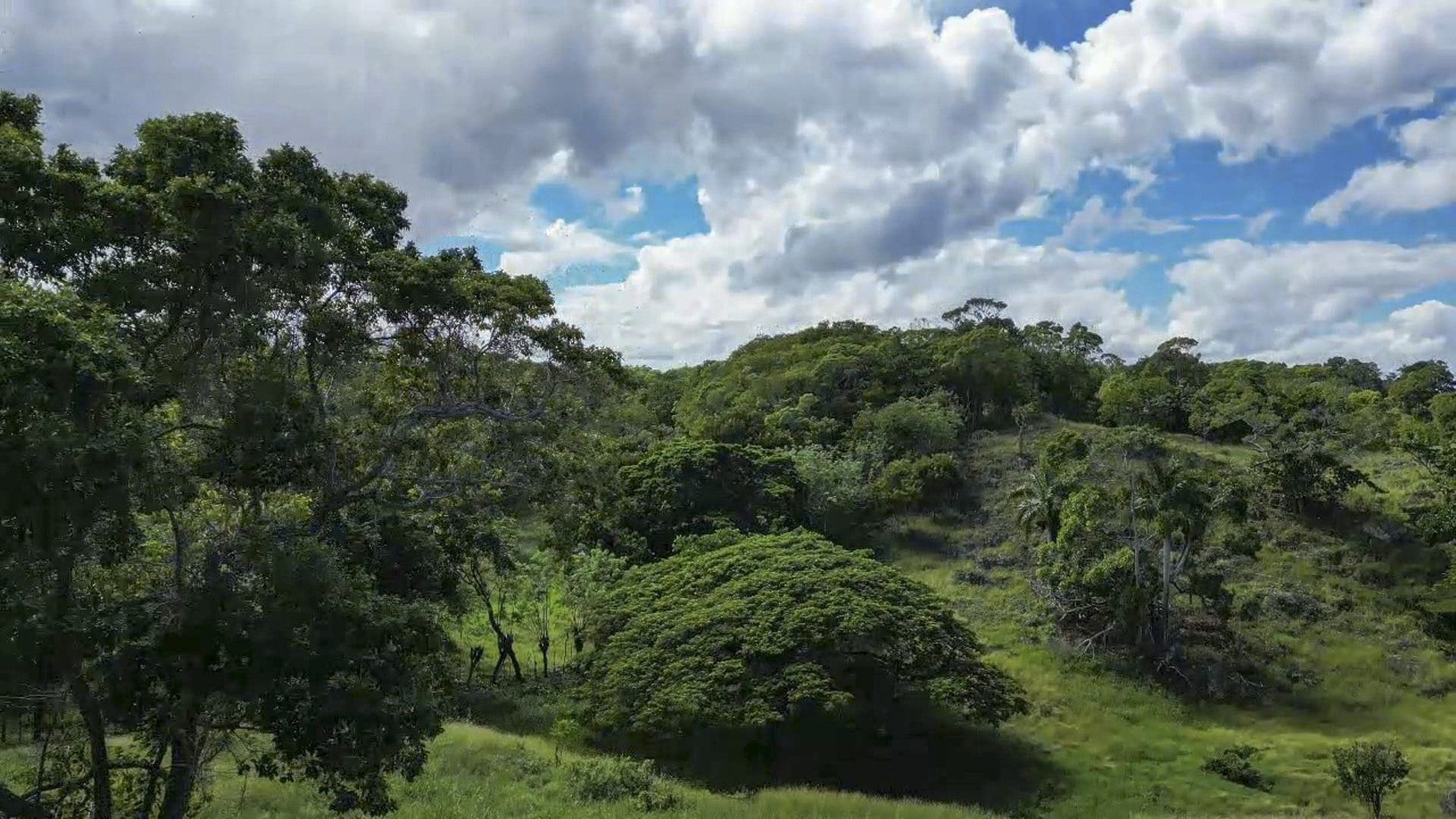 buyDRproperty Rolling hills covered in trees, with a bright blue sky, perfect for Awesome Development Land. Sosua Real Estate