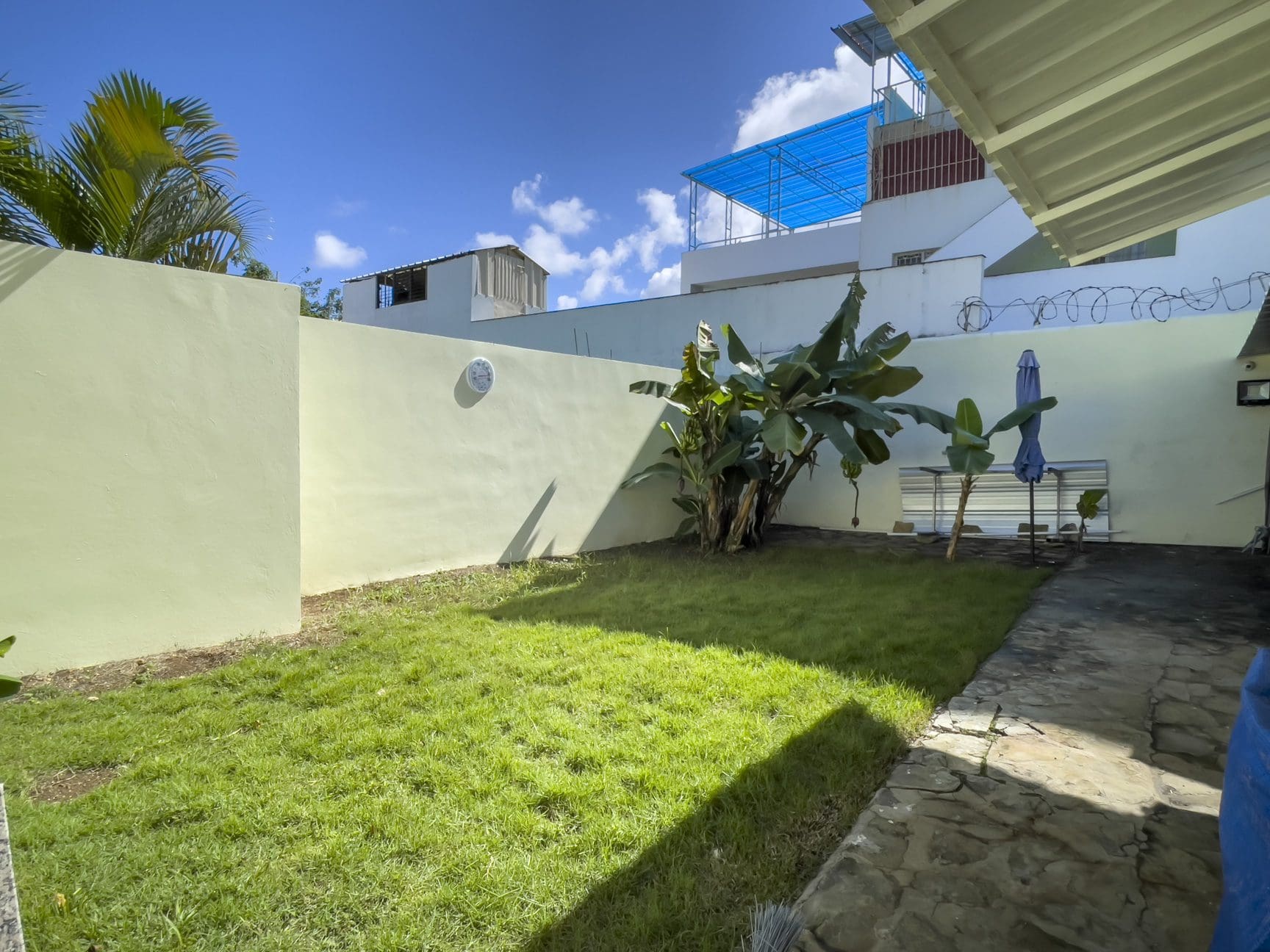 buyDRproperty Backyard with green grass, banana trees, and a blue sky. For Sale! Sosua Real Estate
