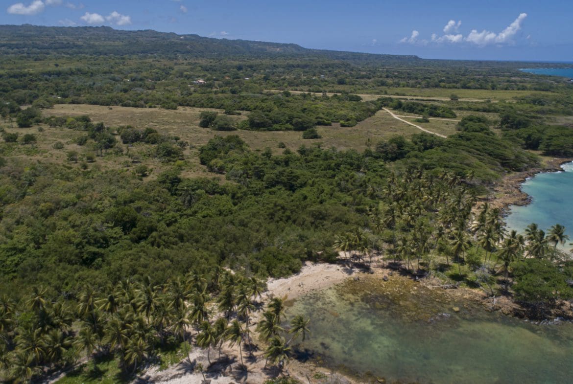 buyDRproperty Aerial view of oceanfront development property with palm trees and marina potential. Sosua Real Estate