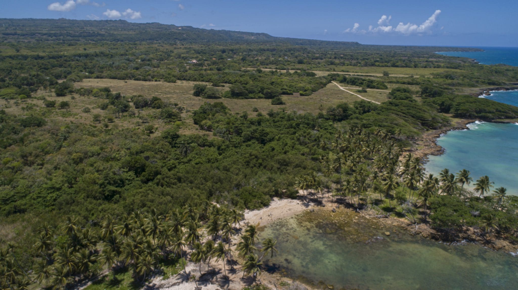 buyDRproperty Aerial view of oceanfront development property with palm trees and marina potential. Sosua Real Estate