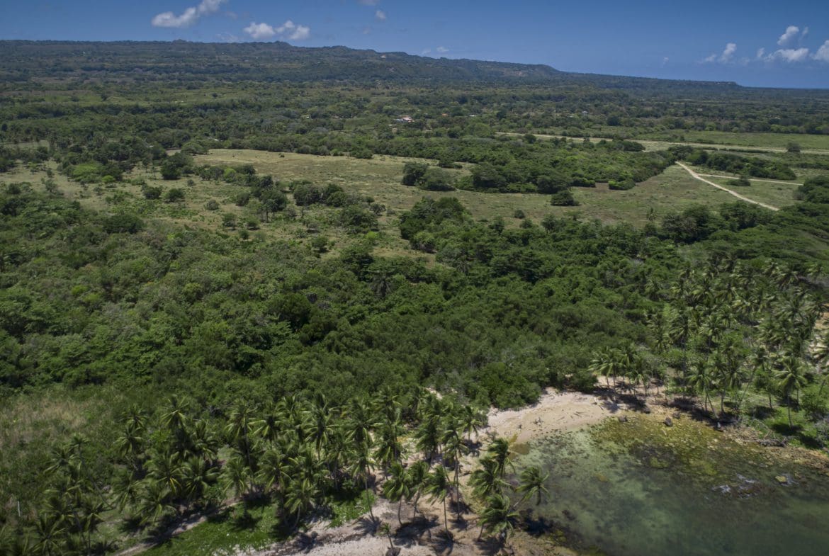 buyDRproperty Aerial view of lush Oceanfront Development Property with potential Marina, featuring palm trees and coastline Sosua Real Estate