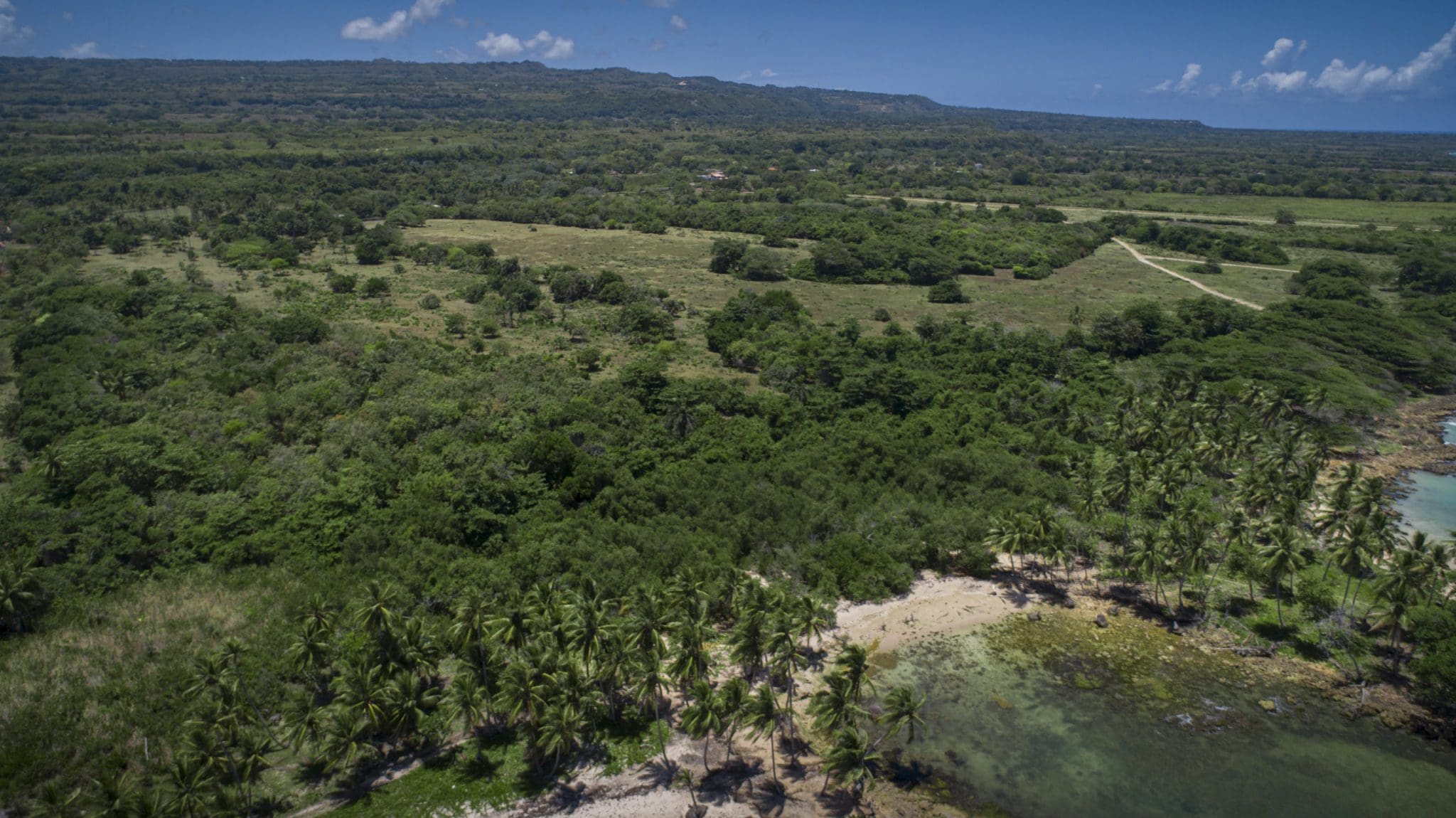 buyDRproperty Aerial view of lush Oceanfront Development Property with potential Marina, featuring palm trees and coastline Sosua Real Estate