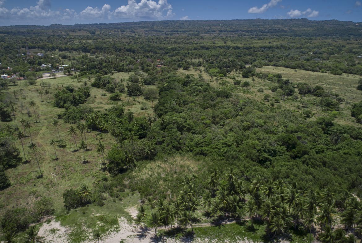 buyDRproperty Aerial view of lush green landscape with potential oceanfront development property and marina potential Sosua Real Estate