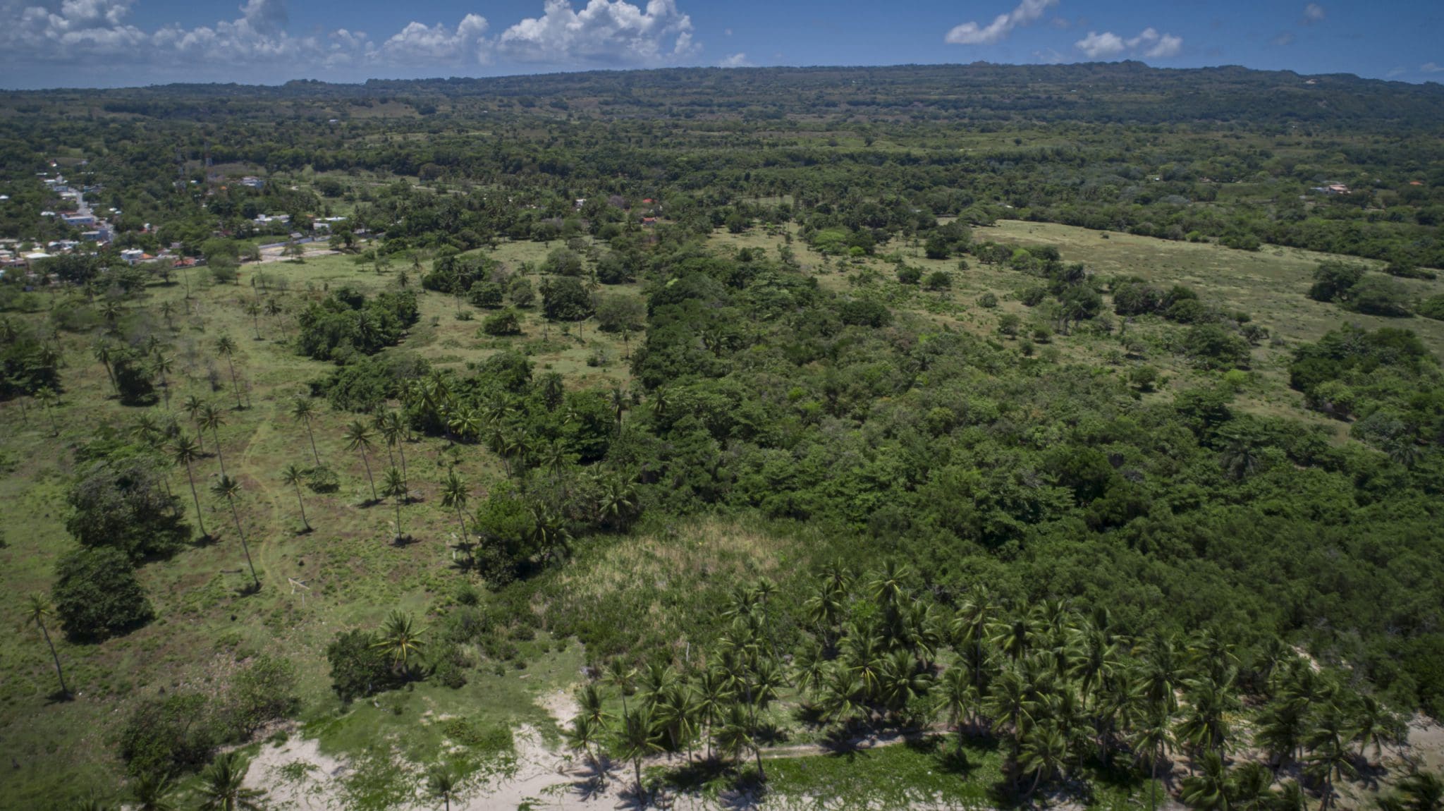 buyDRproperty Aerial view of lush green landscape with potential oceanfront development property and marina potential Sosua Real Estate