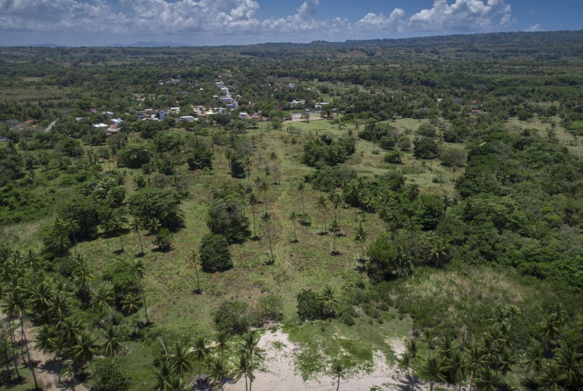 buyDRproperty Aerial view of a lush Oceanfront Development Property with Marina Potential, with palm trees and a small village. Sosua Real Estate