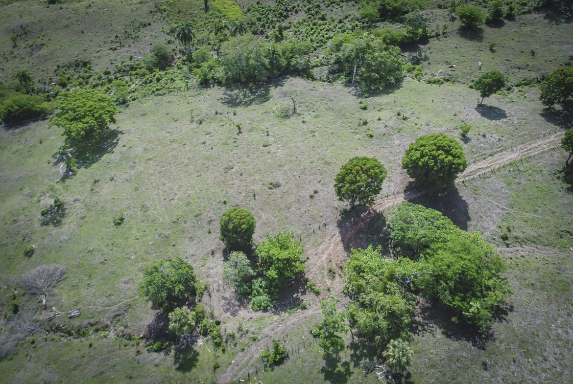 buyDRproperty Aerial view of 22 acres of development property with trees and green fields. Sosua Real Estate