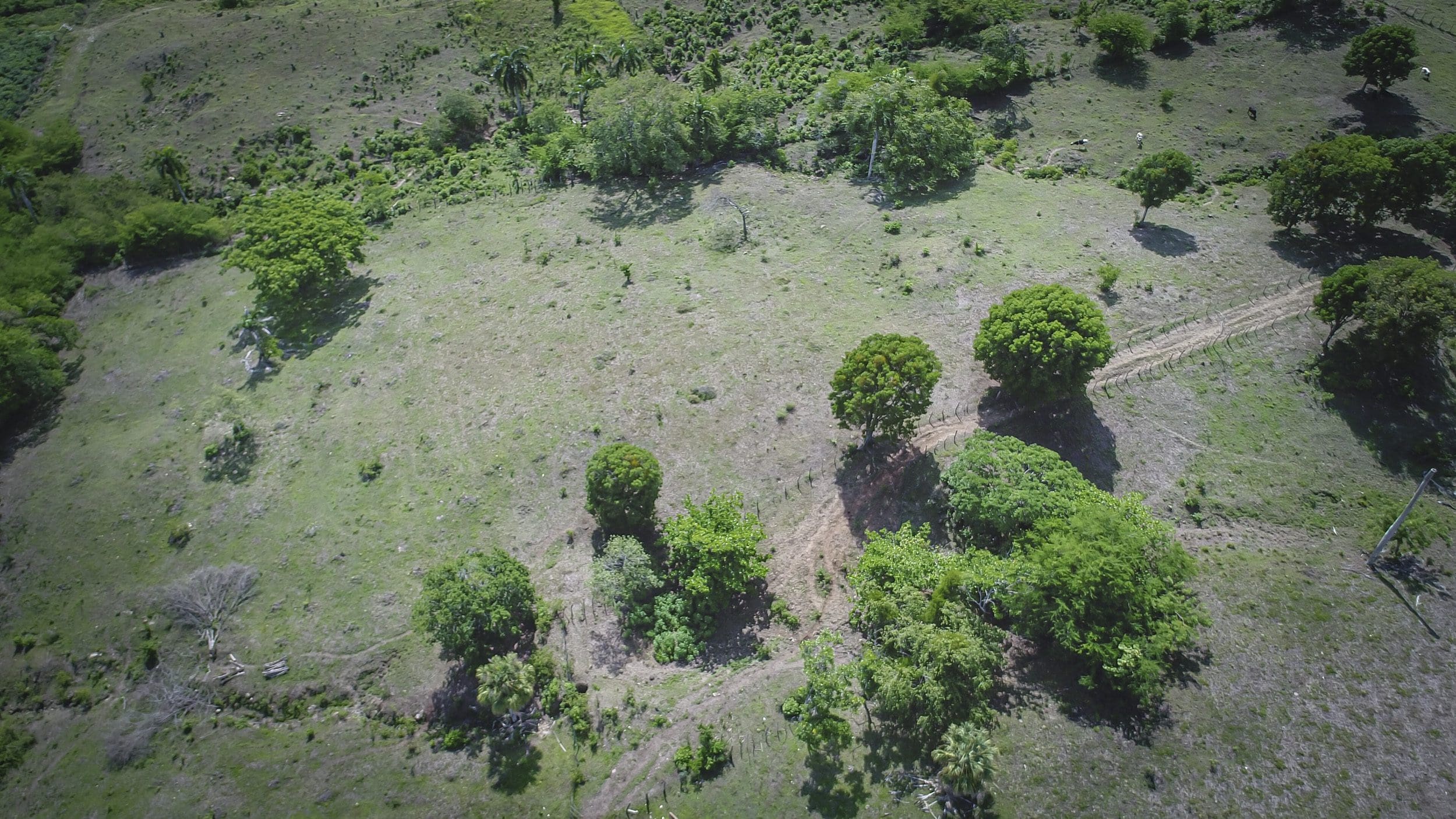 buyDRproperty Aerial view of 22 acres of development property with trees and green fields. Sosua Real Estate