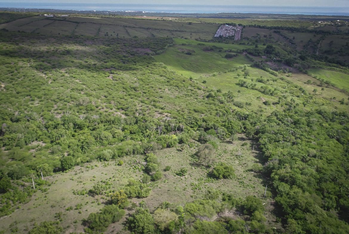 buyDRproperty Aerial view of a lush development property with green vegetation and ocean in the distance. Sosua Real Estate