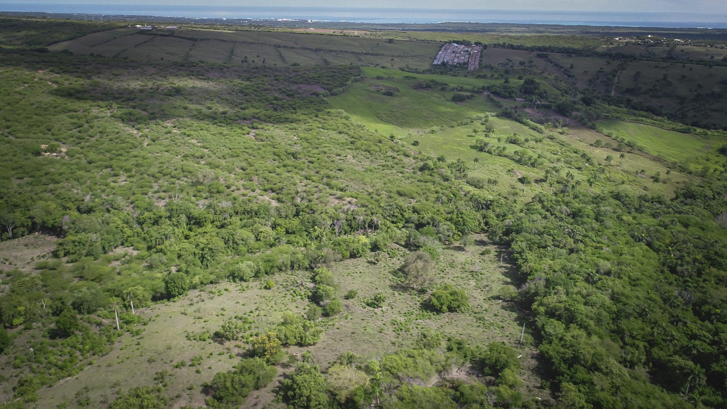 buyDRproperty Aerial view of a lush development property with green vegetation and ocean in the distance. Sosua Real Estate