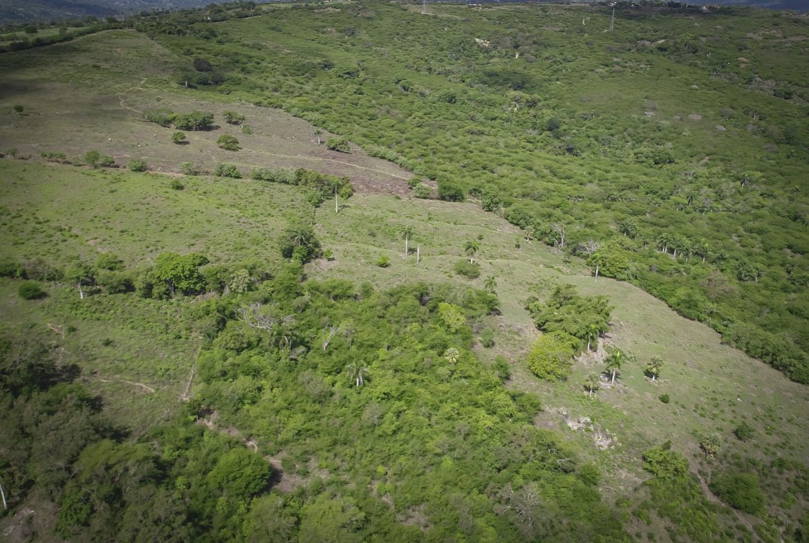 buyDRproperty Aerial view of a development property with green vegetation. Sosua Real Estate