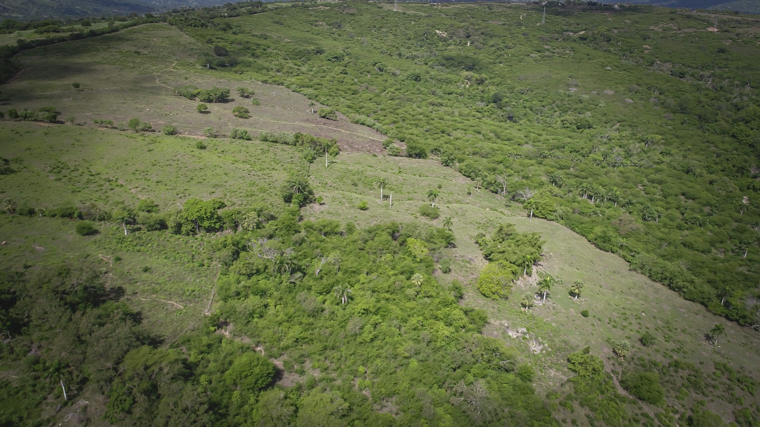 buyDRproperty Aerial view of a development property with green vegetation. Sosua Real Estate