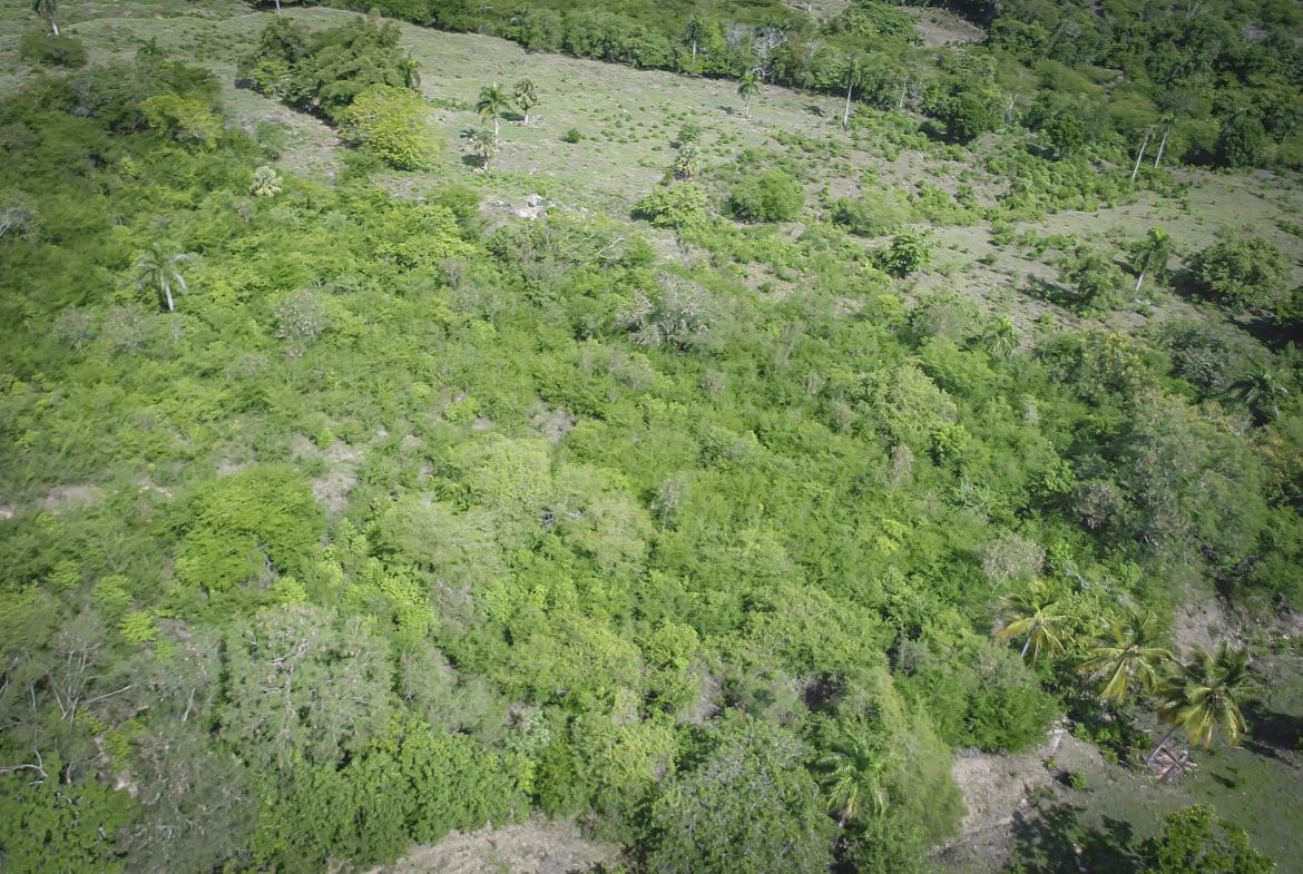 buyDRproperty Aerial view of lush green development property for sale, showcasing potential for building. Sosua Real Estate