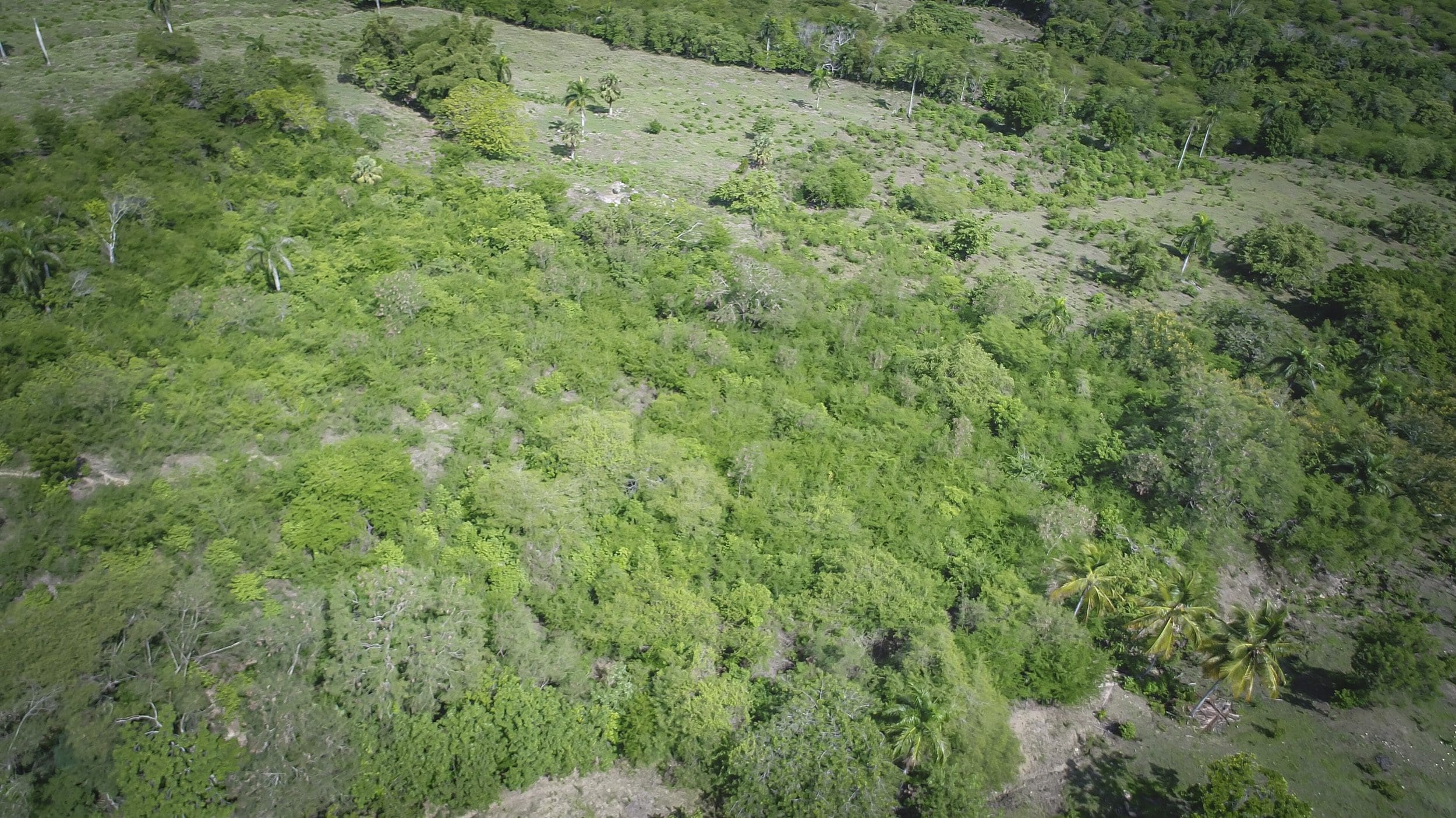 buyDRproperty Aerial view of lush green development property for sale, showcasing potential for building. Sosua Real Estate