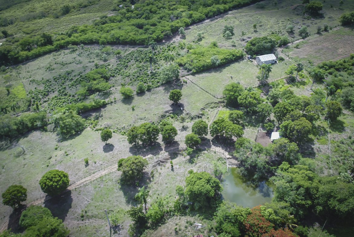buyDRproperty Aerial view of development property with trees, fields, and a pond. Sosua Real Estate