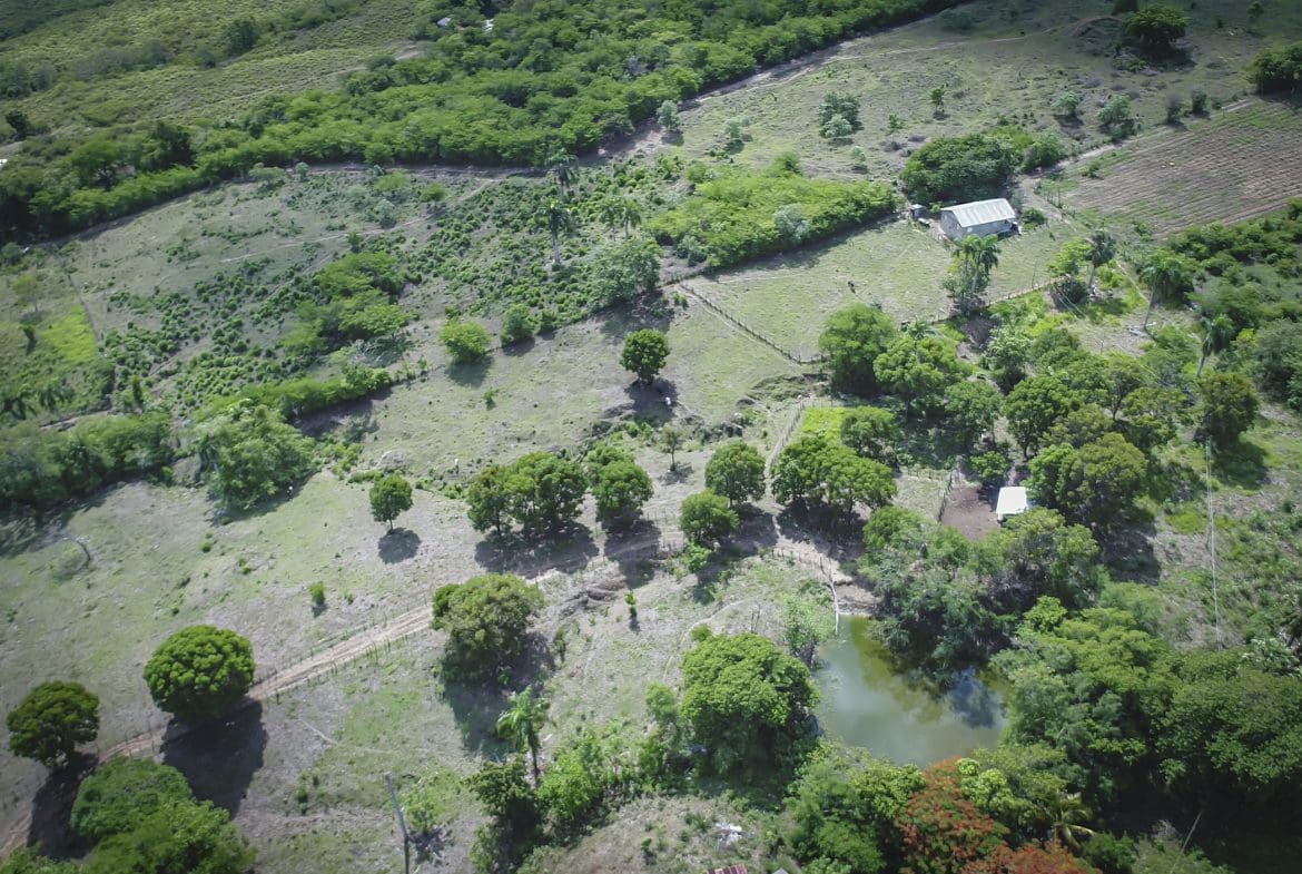 buyDRproperty Aerial view of development property with trees, fields, and a pond. Sosua Real Estate