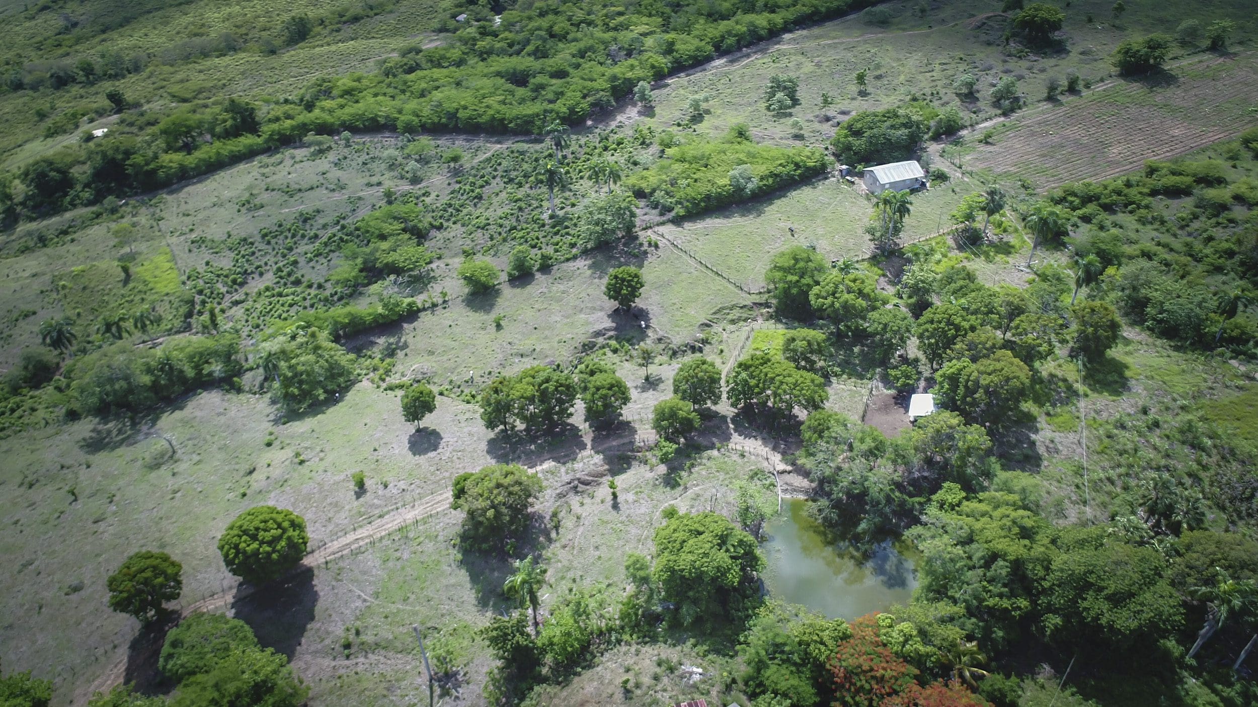 buyDRproperty Aerial view of development property with trees, fields, and a pond. Sosua Real Estate