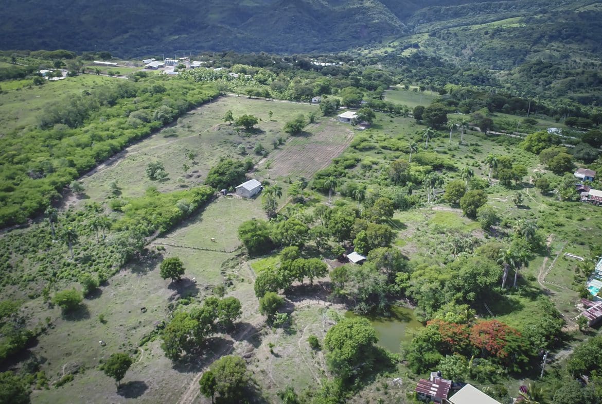 buyDRproperty Aerial view of green development property with trees and a pond. Sosua Real Estate