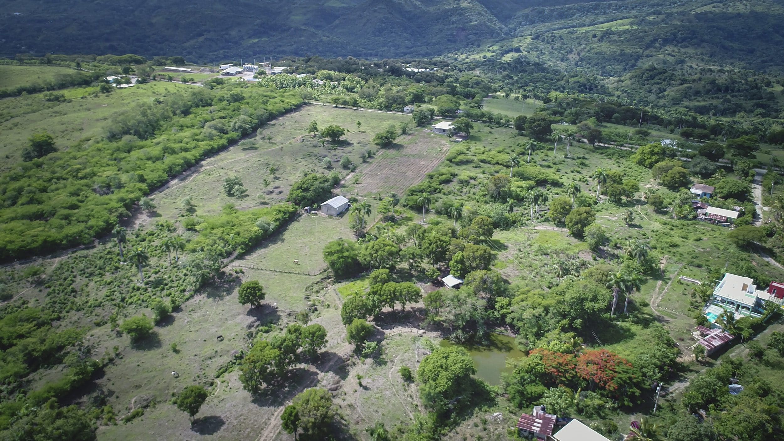 buyDRproperty Aerial view of green development property with trees and a pond. Sosua Real Estate
