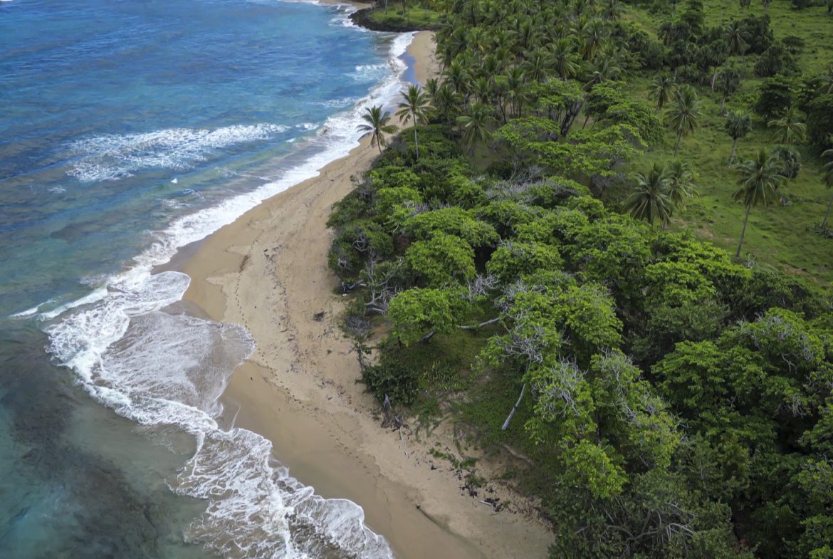buyDRproperty Stunning oceanfront development property with sandy beach and lush green trees. Sosua Real Estate